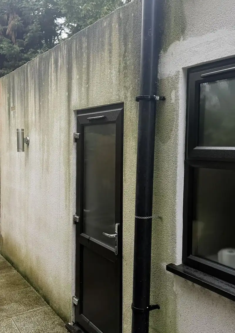 monocouche-render-algae-staining-london-optimised.webp